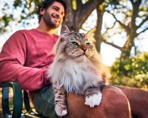 cat with its owner at a park