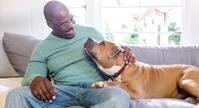 man with brown dog on couch