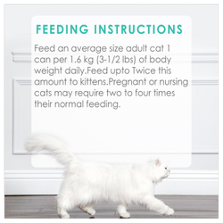 Feeding Recommendations