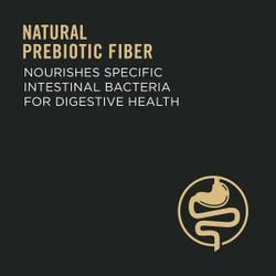 Natural prebiotic fiber