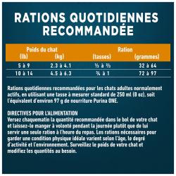 Rations Quotidiennes Recommandées
