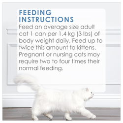 Feeding Recommendations