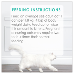 Feeding Recommendations