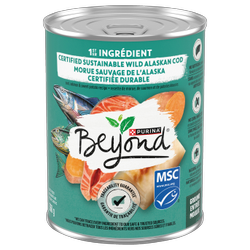 Beyond® Cod, Salmon & Sweet Potato Recipe, Wet Dog Food