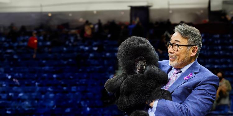 westminster dog show winner sage with its owner