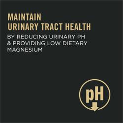 Maintain Urinary Health