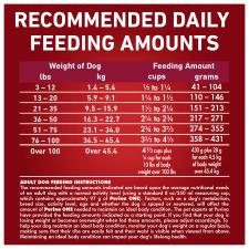 Recommended Daily Feeding Guide