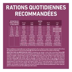 Rations Quotidiennes Recommandées