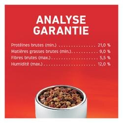 Analyse Garantie