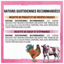 Ration Quotidienne Recommandées