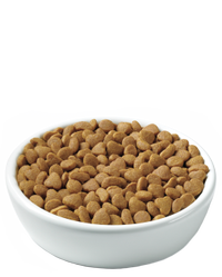 pro-plan-focus-hairball-management-kibble