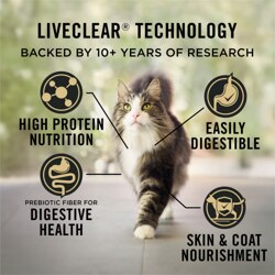 Liveclear Technology