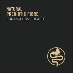 Natural Prebiotic Fibre