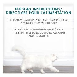 Feeding Recommendations