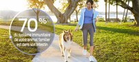 woman walking with dog