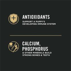 Antioxidants, calcium, phosphorus
