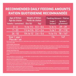 Adult Cat Feeding Instructions