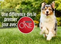 Une différence dès le jour 1