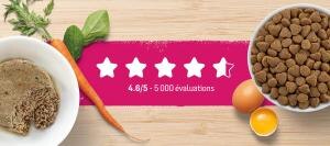 reviews