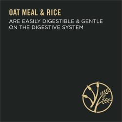 Oatmeal and Rice