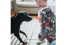 Child dancing with dog