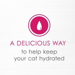 A delicious way to help keep your cat hydrated