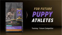 Purina Pro Plan For Future Puppy Athletes