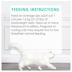 Feeding Recommendations