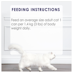 Feeding Recommendations