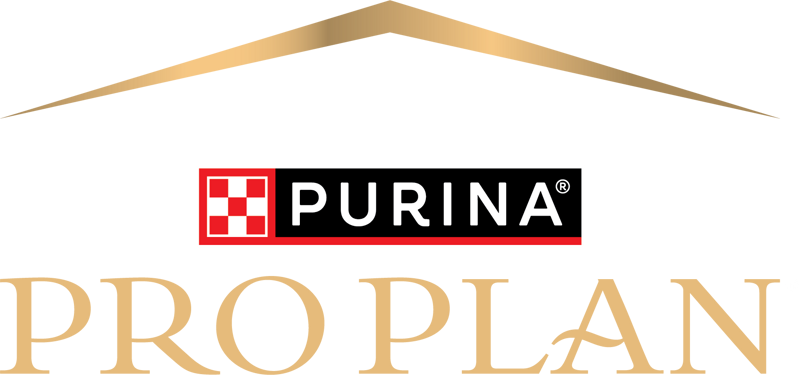 Pro Plan Logo