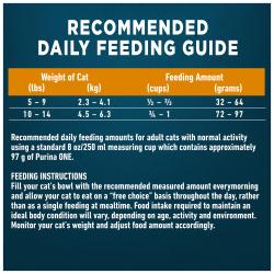 Recommended Daily Feeding Guide