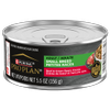 Pro Plan® Adult Small Breed Beef & Green Beans Entrée in gravy dog food
