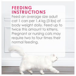 Feeding Recommendations