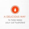 A delicious way to help keep your cat hydrated