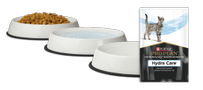 meet the third bowl