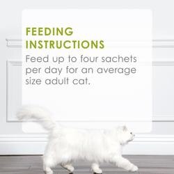 Feeding Recommendations
