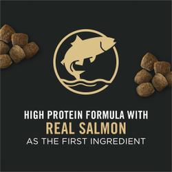 High Protein with Real Salmon