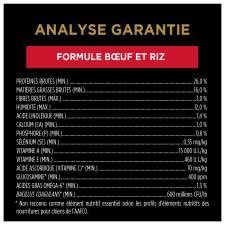 Analyse Garantie