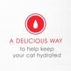 A delicious way to help keep your cat hydrated
