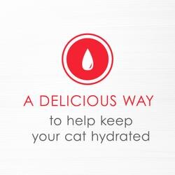 A delicious way to help keep your cat hydrated