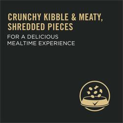 Shredded Pieces