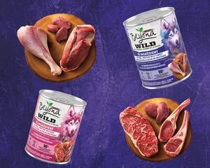 beyond wet canned food with images of raw protein