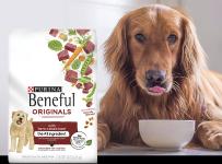 dog licking itself next to beneful incredibites dry dog food bag