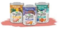 Beyond Grain Free Wet Dog Food Ground