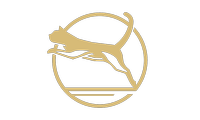 cat icon