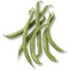 Haricots verts
