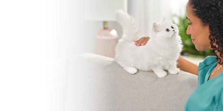woman petting a white cat