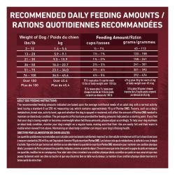 Daily Feeding Guide