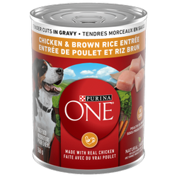 Purina ONE® Tender Cuts in Gravy Chicken & Brown Rice Entrée Dog Food