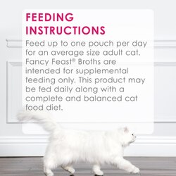 Feeding Recommendations